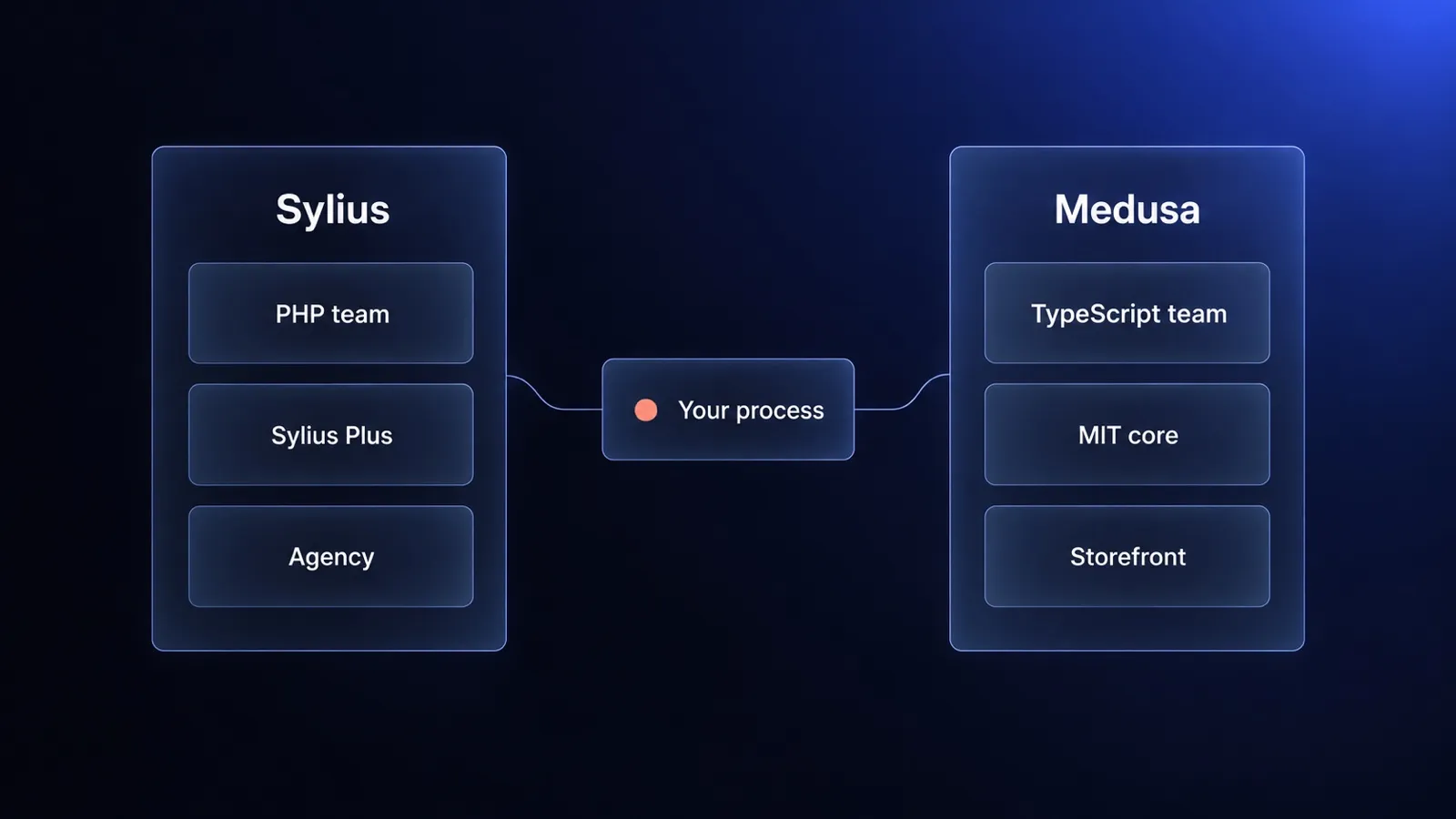 A tile labelled Your process with a coral dot, connected to two columns: Sylius with tiles PHP team, Sylius Plus and Agency, and Medusa with tiles TypeScript team, MIT core and Storefront